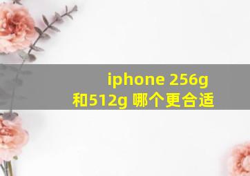 iphone 256g 和512g 哪个更合适